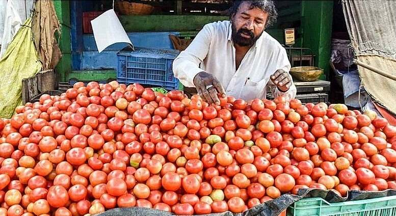 Tomato Price Hike:: मध्यप्रदेश का ये व्यापारी फ्री में बाँट रहा 160 रूपये किलो वाला टमाटर, वजह जान चौंक जायेंगे आप