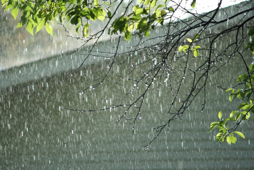 MP Weather News: आज मध्यप्रदेश के ये जिले बारिश के पानी से होंगें लबालब, जारी हुआ अलर्ट
