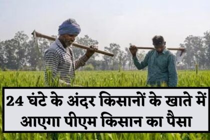PM Kisan Nidhi 16th Instalment : 24 घंटे बाद किसानों के खाते में आ जाएगा PM Kisan का पैसा, ऐसे चेक करे स्टेटस