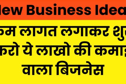 New Business Ideas 2024 : इंस्टाग्राम पर रील्स देखना छोडो, कम लागत लगाकर शुरू करो ये लाखो की कमाई वाला बिजनेस