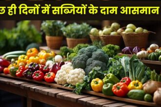 Vegetable Price Rise in Singrauli : सिंगरौली में बैगन 6 गुना तो टमाटर 3 गुना महँगा, कुछ ही दिनों में सब्जियों के दाम आसमान पर