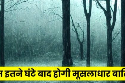 MP Weather Update : आ गई गुड न्यूज़! बस इतने घंटे बाद मध्य प्रदेश में होगी मूसलाधार बारिश इन जिलों में रेड अलर्ट जारी