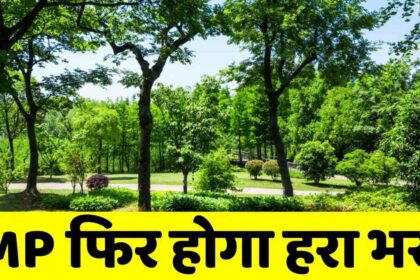 Ek Ped Maa Ke Naam : मोहन सरकार बनाने जा रही नया रिकार्ड, CM के नेतृत्व में मध्यप्रदेश में लगाये जायेंगे 55000000 पौधे