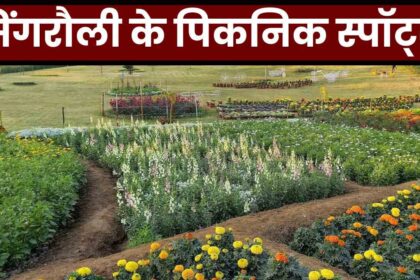 International Picnic Days 2024 : सिंगरौली के इन जगहों पर जाएं पिकनिक मनाने, मूड हो जाएगा फ्रेश