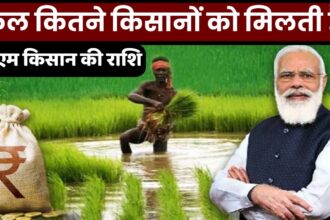 PM Kisan Samman Nidhi Yojna : देश में पीएम किसान सम्मान निधि योजना की राशि कितने किसानों को मिलती है?