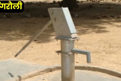 Singrauli News : सार्वजनिक हैंडपंप में पानी भरने को लेकर मारपीट