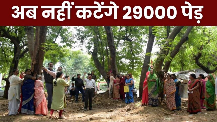 Bhopal News : स्थानीय लोगों ने चिपको आंदोलन शुरू कर बचा ली 29000 पेडों की जान
