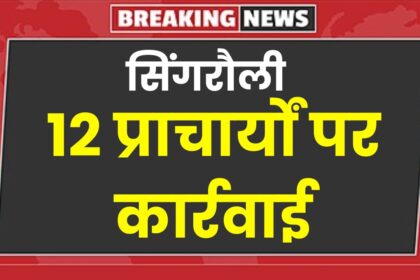 Singrauli News : सीएम हेल्पलाइन शिकायतों की समीक्षा बैठक में अनुपस्थित 12 प्राचार्यों पर कार्रवाई