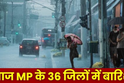 MP Weather Update : MP के 36 जिलों में बारिश का अलर्ट, जानें सिंगरौली, सतना, रीवा, सीधी में आज कैसा रहेगा मौसम
