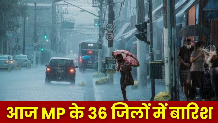 MP Weather Update : MP के 36 जिलों में बारिश का अलर्ट, जानें सिंगरौली, सतना, रीवा, सीधी में आज कैसा रहेगा मौसम