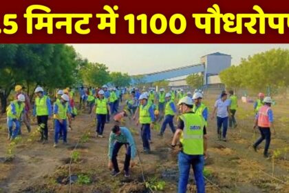 Adani Group के महान एनर्जेन लिमिटेड द्वारा 2.5 मिनट में 1100 पौधरोपण कर बनाया गया रिकॉर्ड