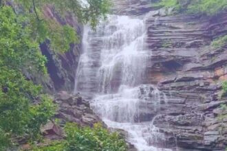 Bagdari Waterfall : बरसात के महीने में घूमने का प्लान बना रहे हैं तो MP के इस वाटरफॉल को जाएँ देखने, सिंगरौली से बेहद करीब है ये जगह