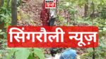 Singrauli News : 18 साल की उम्र में ही प्यार चडा परवान, जंगल में प्रेमी युगल ने एक साथ लगाई फांसी