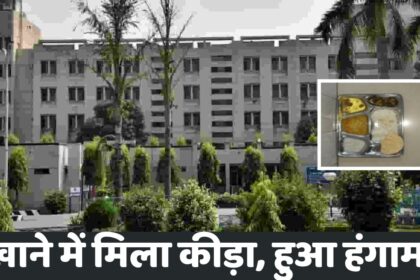 Nehru Hospital Jayant Singrauli: नेहरू चिकित्सालय जयंत में मरीजों के भोजन में कीड़ा मिलने से हड़कंप, जमकर हुआ हंगामा