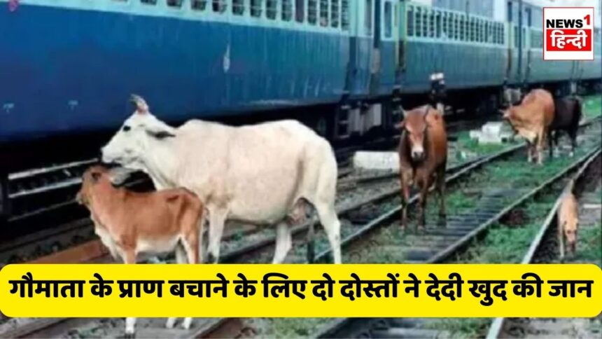 Gwalior News : गौमाता के प्राण बचाने के लिए दो दोस्तों ने देदी खुद की जान, जानें पूरा मामला