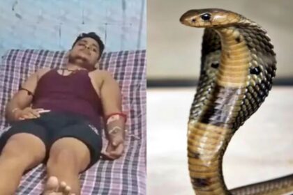 Fatehpur Snake Story: विकास दुबे को 7 बार सांप काटने वाले मामले का हुआ खुलासा ,सच्चाई जानकर उड़ जायेंगे होश!