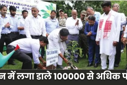 Singrauli NCL News : एनसीएल ने रचा इतिहास, एक दिन में लगा डाले 100000 से अधिक पौधे, इतने एकड़ जमीन होगी हरी भरी