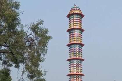 Bird House in MP : पक्षियों को दर-दर भड़कने की जरूरत नहीं, अब उन्हें भी मिलेगा अपना पक्का घर