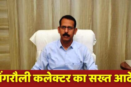 Singrauli News : सिंगरौली कलेक्टर का कोयला कम्पनियों को सख्त आदेश, अब इन लोगों को भी देना होगा मुआवजा