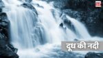 MP Beautiful Waterfalls : मानसून के मौसम में देखना हो दूध की बहती नदी, तो चले लिए मध्य प्रदेश, खूबसूरती देखकर हो जाएंगे मोहित