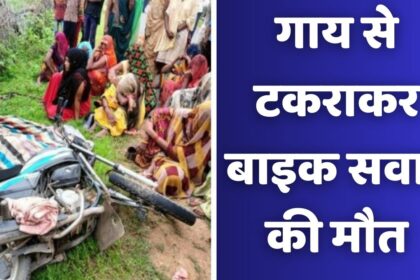 Singrauli Accident News : रात के समय बाइक सवार गाय से टकराया, हुयी मौत