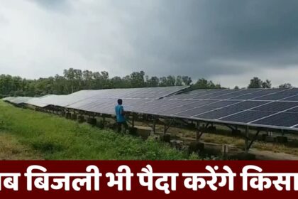 Farmers Will Generate Electricity : अनाज के साथ-साथ अब बिजली भी पैदा करेंगे किसान, 27 कंपनियां बनेगी बिजनेस पार्टनर