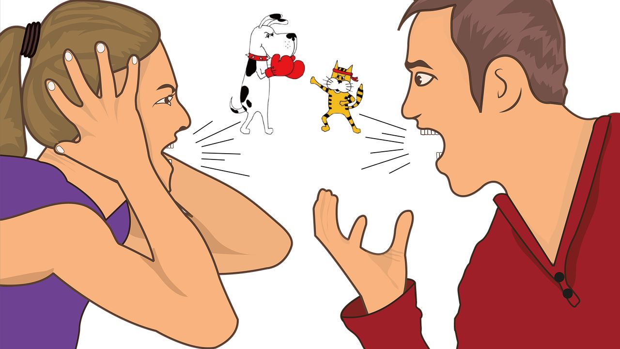 MP गज़ब है : "पति को छोड़ दूंगी, लेकिन बिल्ली को नहीं।" आईटी दंपत्ति ने दाखिल की तलाक याचिका