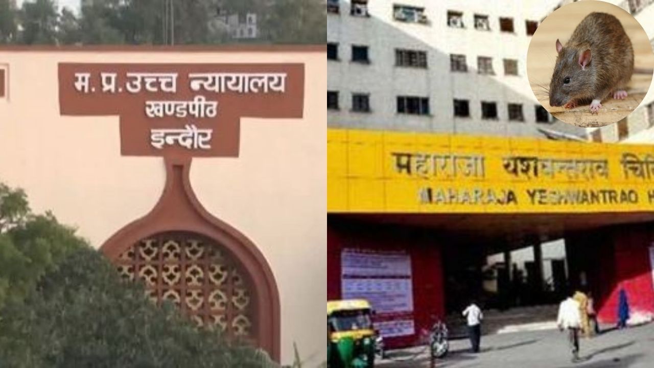 MP News : इंदौर के एमवाय अस्पताल चूहा कांड पर आज हाईकोर्ट में सुनवाई